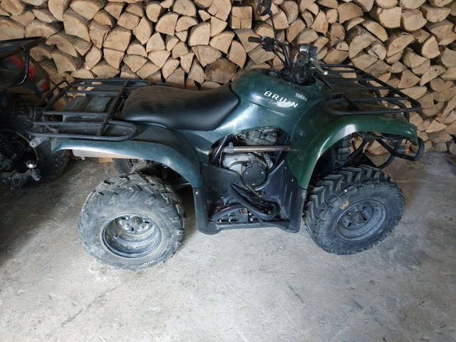 Yamaha grizzly  bruin  250 cm