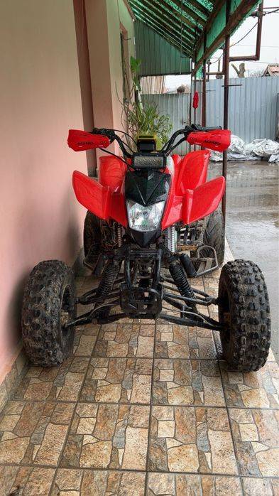 Vand Bashan 200cc