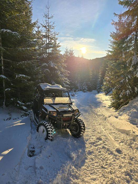 Polaris RZR 800 efi 2010 UTV
