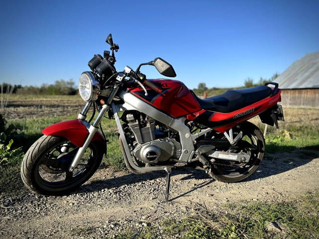 Suzuki GS500E 2000
