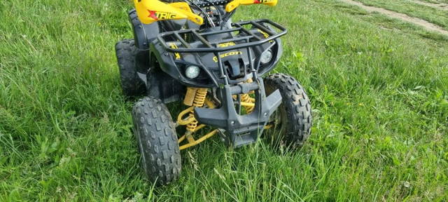 De vinzare atv copii benzina