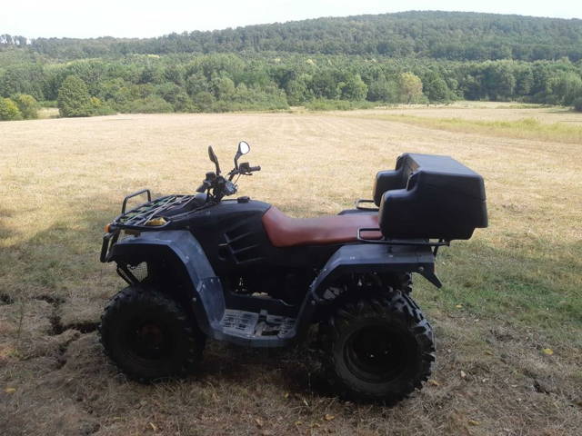 Atv  Buyang 300.