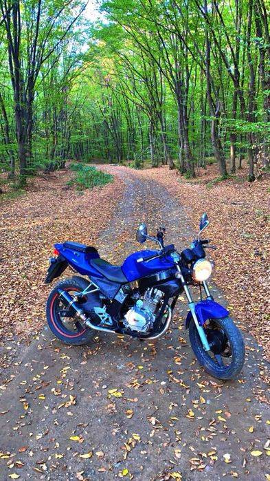 Vând motocicletă daelim roadwin 125cc.
Stare perfectă de funcționare.