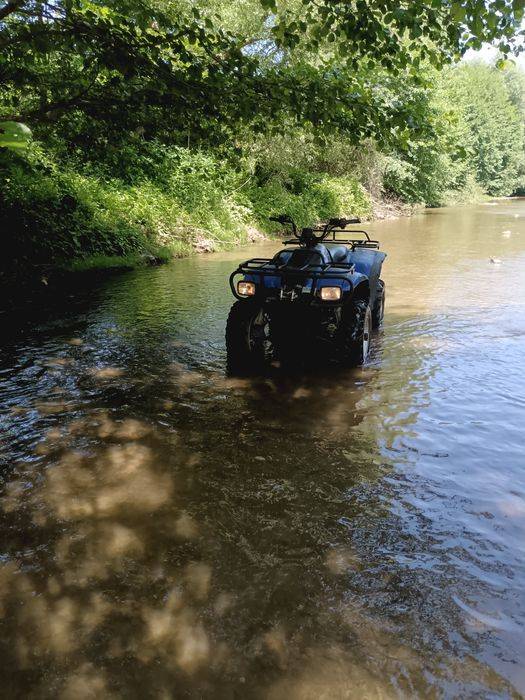 ATV 300 cu trepte de forta