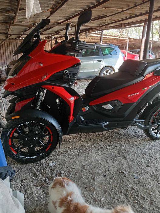 Quadro4 Qooder  categB