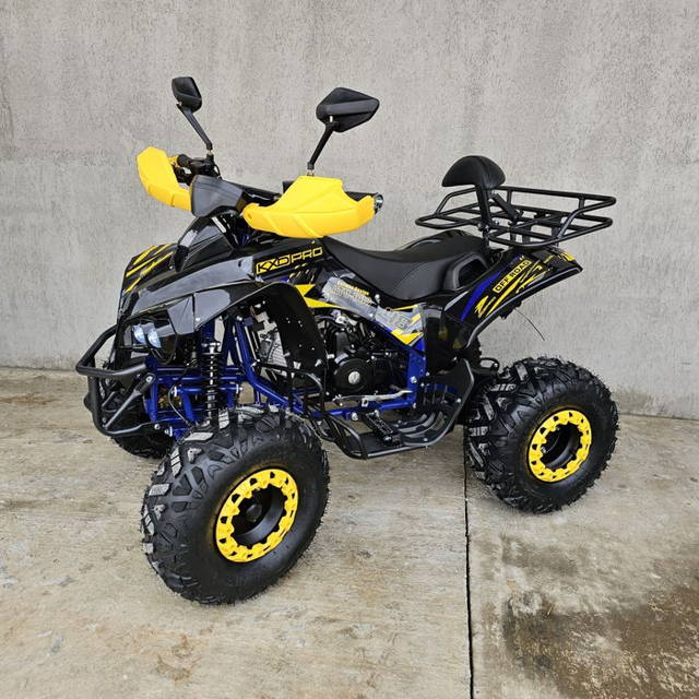 ATV Quad KXD 125cc 3+R Renegade