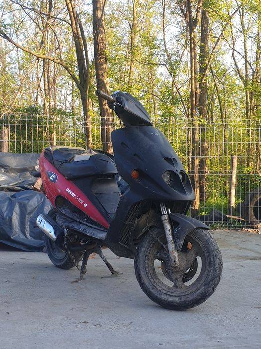Vând malaguti f12 sau schimb
