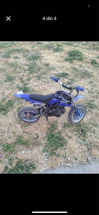Vand sau shimb cross