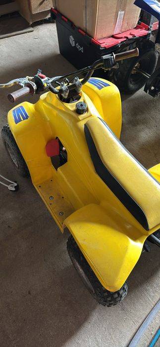 Atv copii Quadzilla buzz