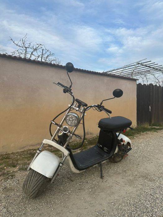 Moped electric 50 km autonomie