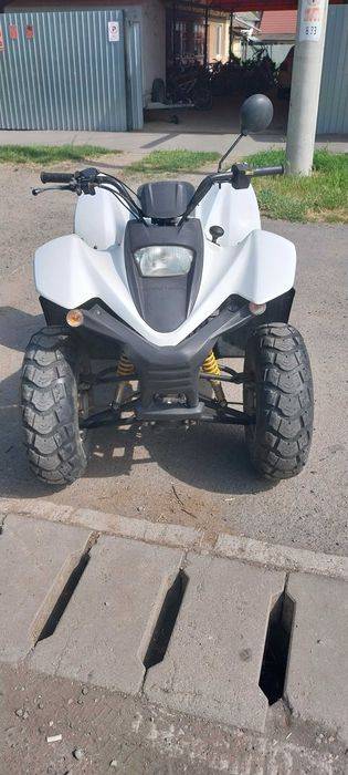 Vand atv adly cu marsarier de 49 cm