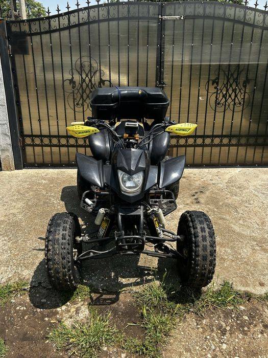 Bashan  250.