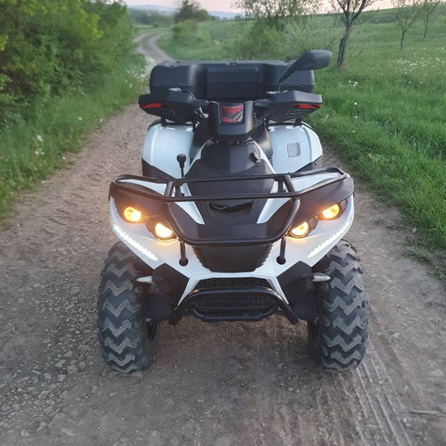 ATV Linhai 310 Dragonfly 2013 4x4