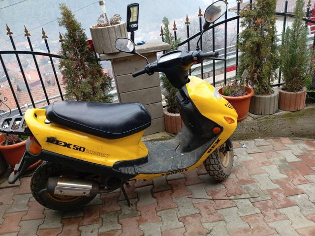 Scuter Rex 49 cm