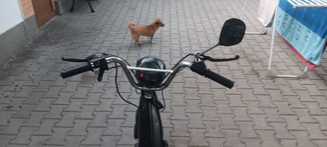 Ofer spre vânzare piaggio ciao mix