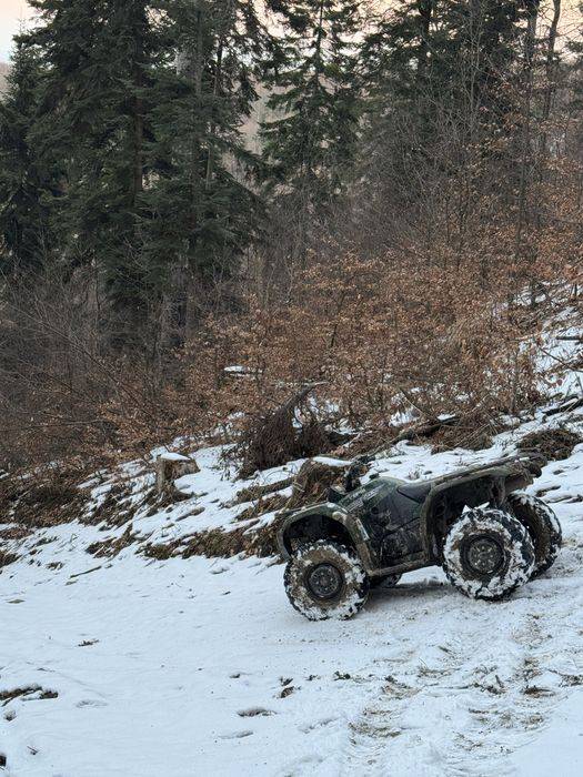 De vanzare Yamaha grizzly 450!