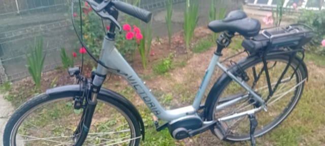 Bicicleta Electrica Motor Bosch Active Line