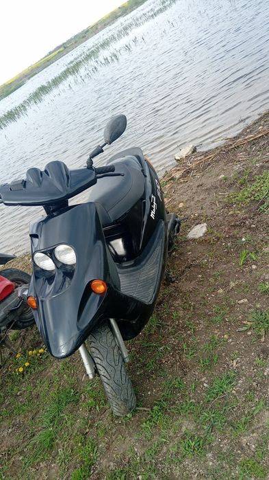 Vând malaguti f10