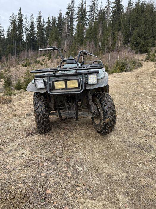 Yamaha Timberwolf 250 cc