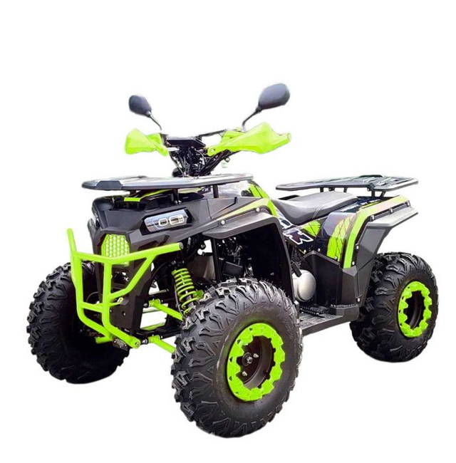 Atv NCX Mega Angry 10" 200cc 4T benzina verde