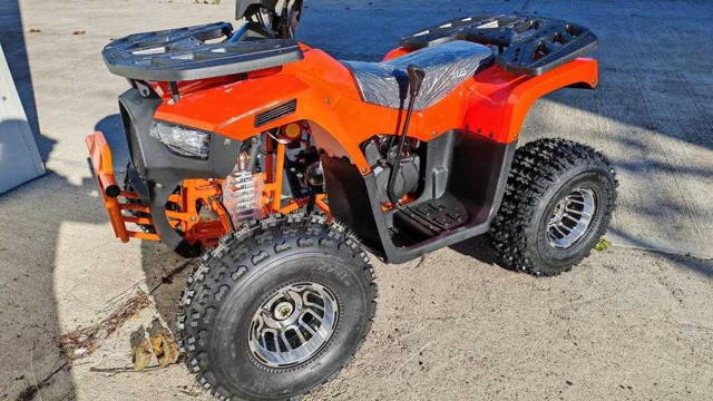 Atv HUNTER  WILD  125cc 8 Inch  AUTOMATIK  ,Nou 2024