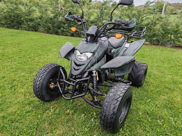 Atv  Shineray 250  2008