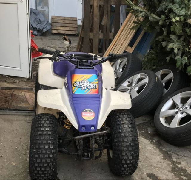 Vand atv suzuki lt 80
