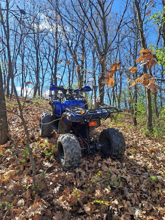 vand atv 125 3+1