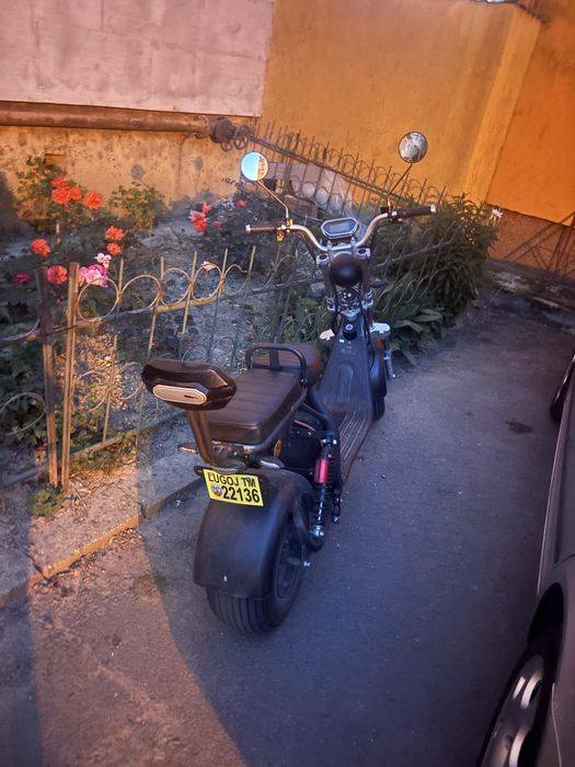 moped inmatriculat