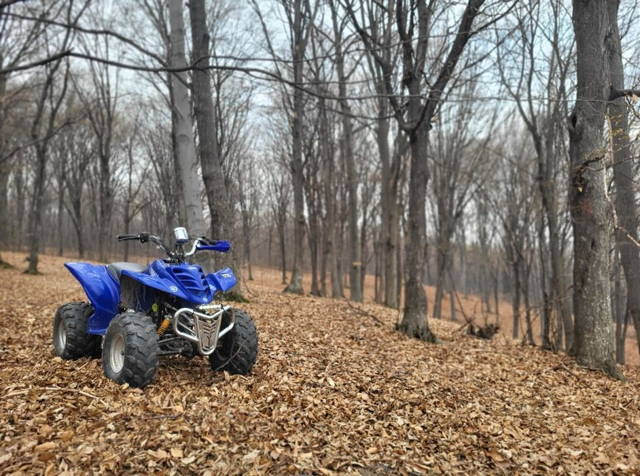 ATV Bashan 150cc