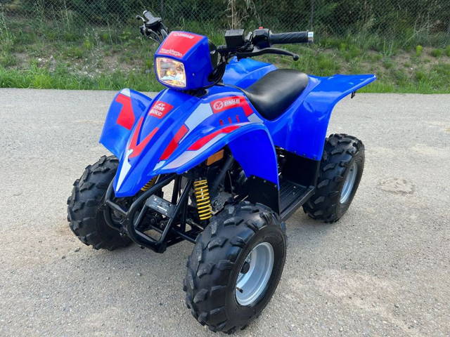 Vand ATV/QUAD Linhai 80ccm automat