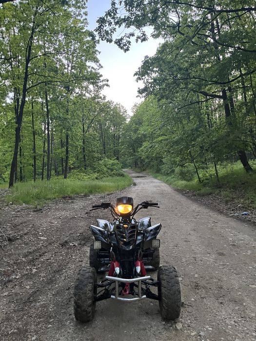 VAND LONICN 200cc nu(bashan,cf moto,can am,segway,kxd)