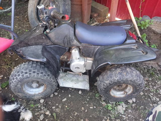 Vand Atv copii pret negociabil