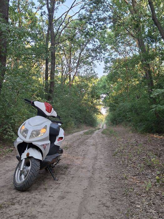 Scuter rivero 49cc