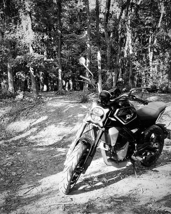 CfMoto CL-X 300 2023