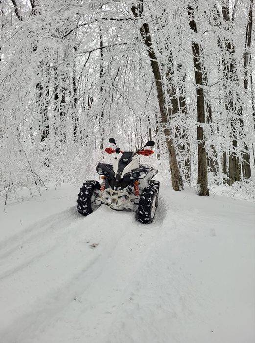 Can am renegade 570