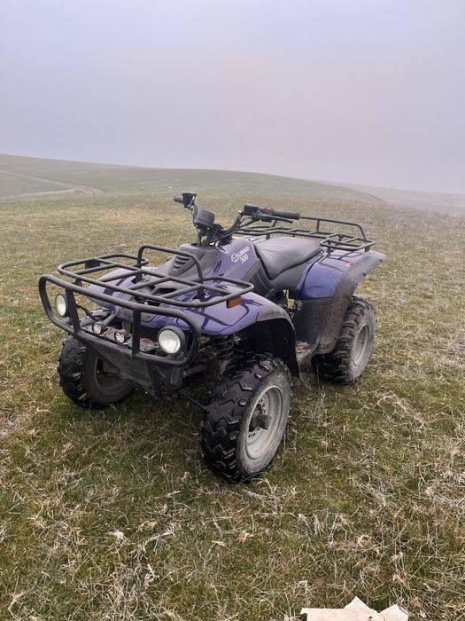 Atv linhai 300, an 2009( merita vazut )