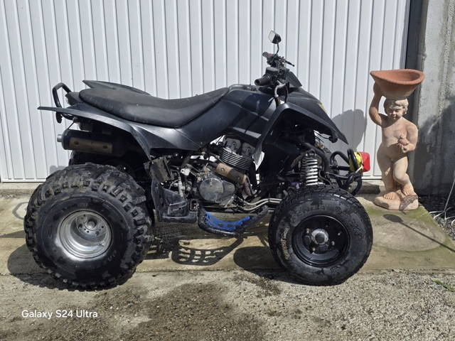 Atv Raptor 250cc 2 pistoane