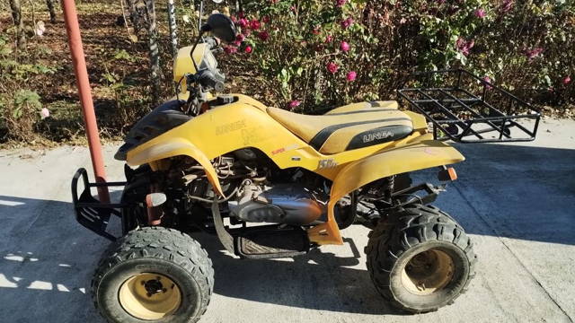 ATV 150cm3 Linnea.Carte de identitate