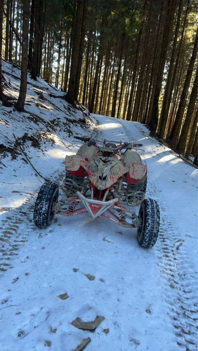 Vand sau schinb polaris perdator 500