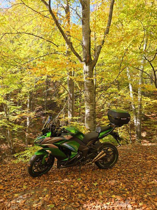 Kawasaki Z1000SX 2020