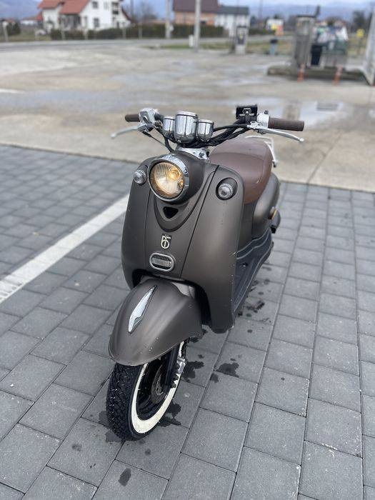 Znen Snail 50cmc