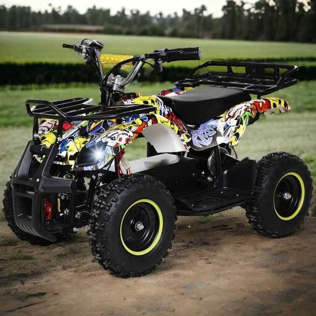 Mini Atv Nitro Torino Rg6#Graffity