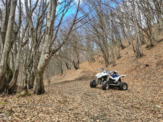 Atv sport Qad ltz400