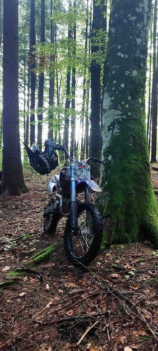 Cross 125 kxd 2019