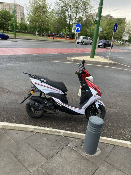 Scuter      50 cc