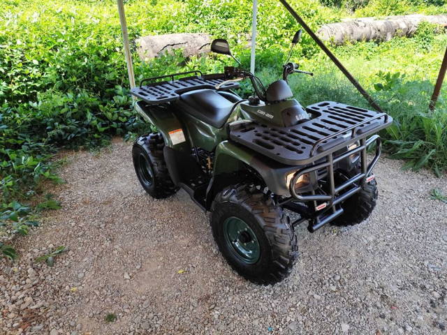 ATV  Can-Am 250cm3  Impecabil  Stare ca noua