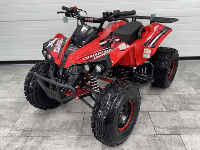 Atv Copii KXD Pro Germany  Renegade  125cc ca nou