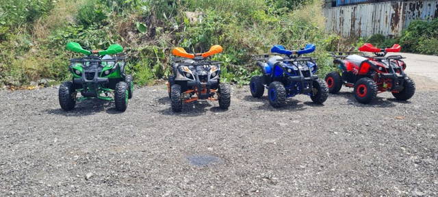 NOU ATV KXD PRO GERMANY 125CC roti pe 7 model PRO automat