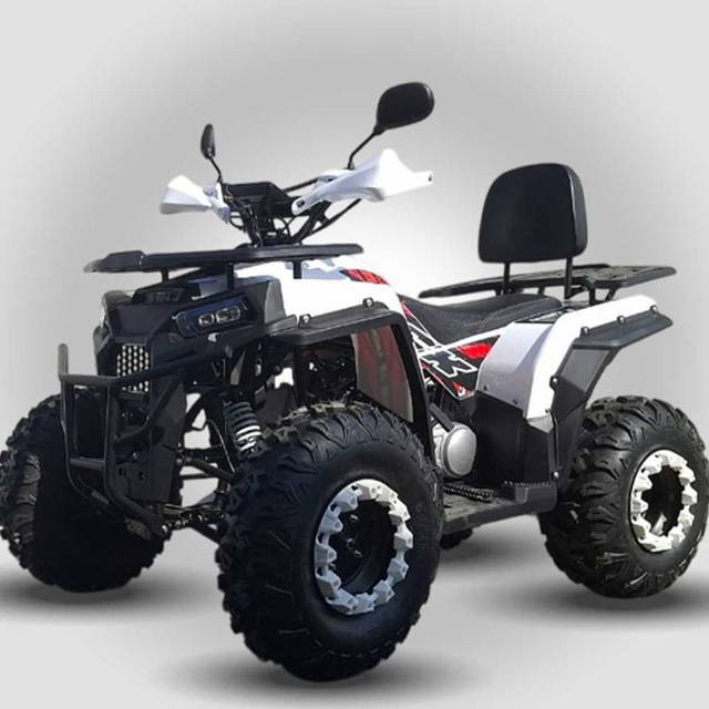 Atv 200cc NCX Angry 4T benzina 10" automata rosu